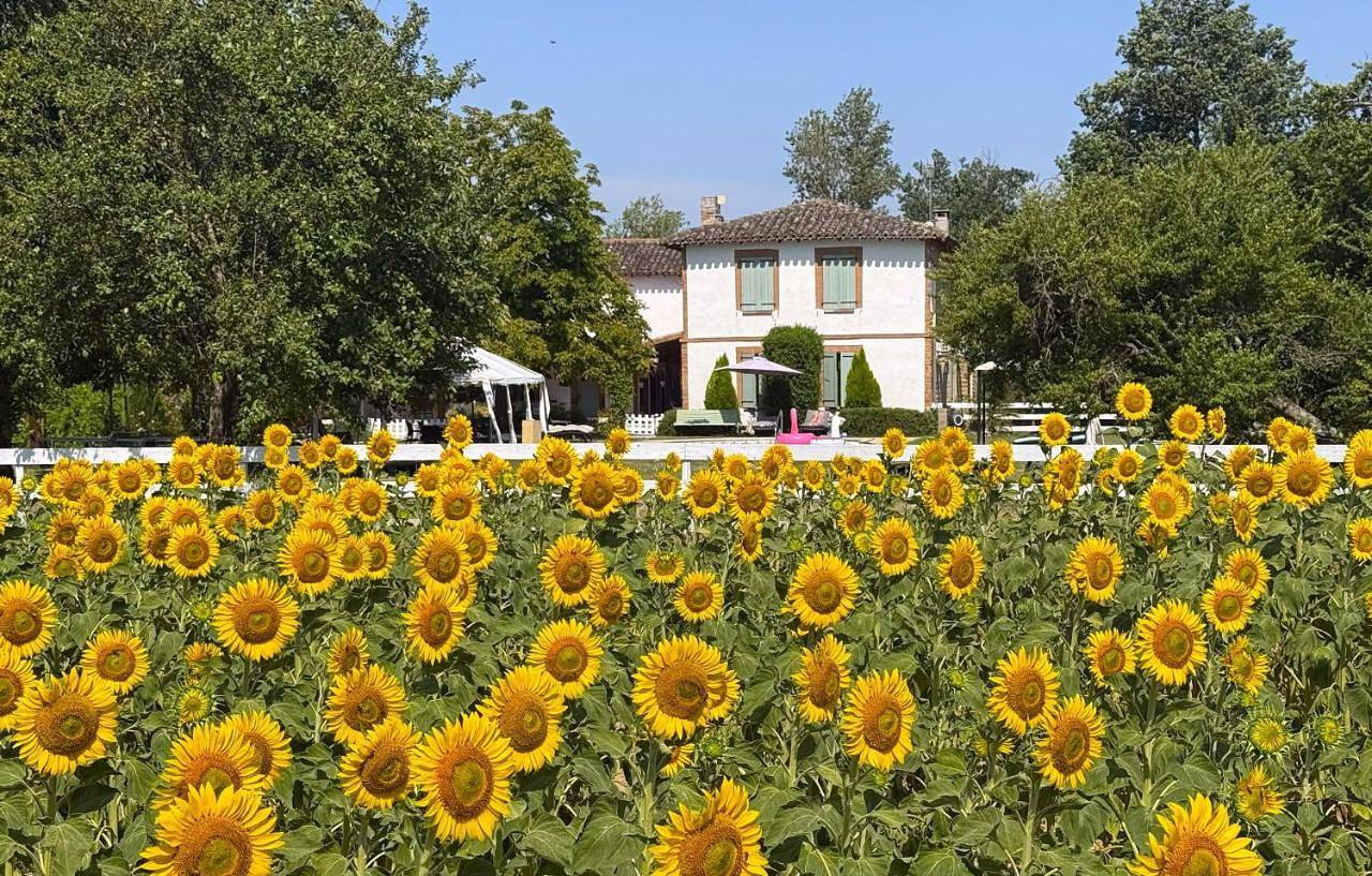 Residence la Salamandre kamers in Rabastens, Région d'Albi