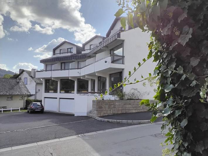 Hôtel pour 4 personnes, avec terrasse et jardin, animaux acceptés à Thiézac - 4