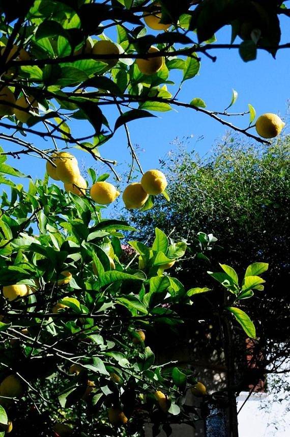 Il Giardino in Grottaglie, Provincia di Taranto