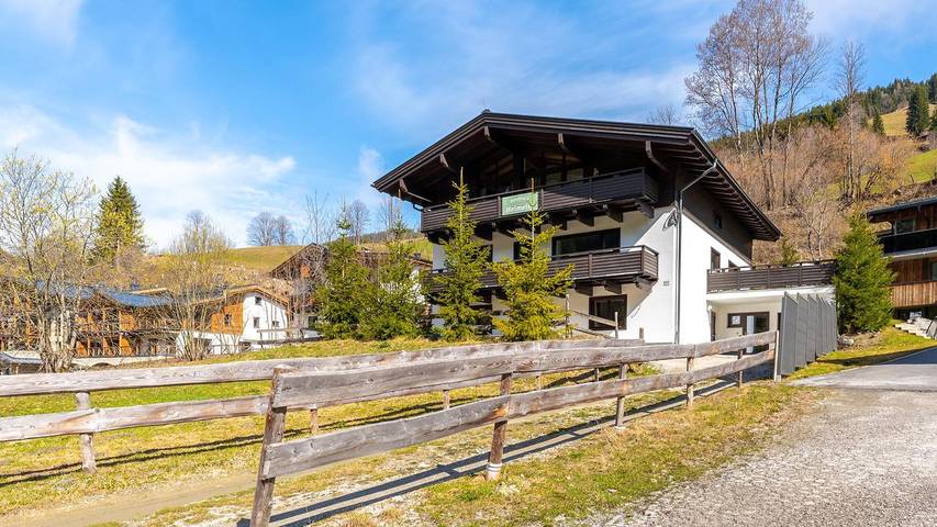 Chalet voor 12 personen, met sauna en balkon in Saalbach