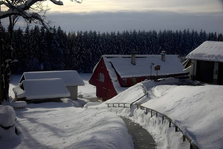 Ferienhaus 'Elfi Mit 85qm' mit Gemeinschaftsterrasse, Gemeinschaftsgarten und Wi-Fi in Bubenbach (Eisenbach), Eisenbach Hochschwarzwald