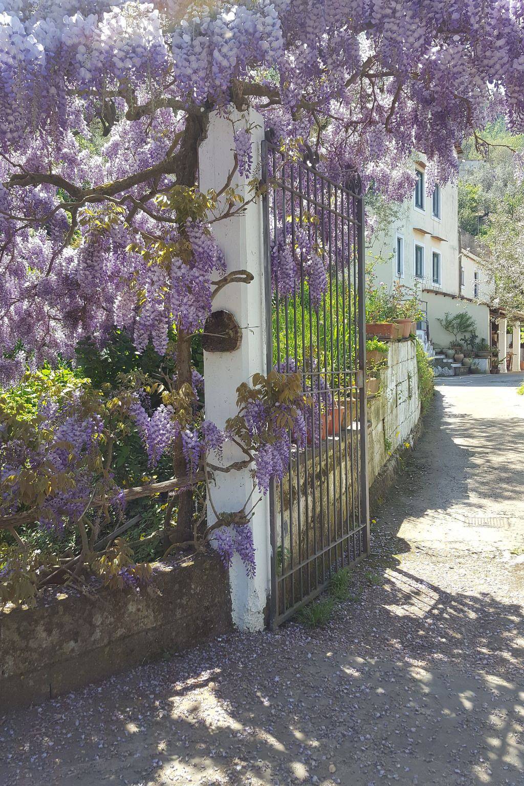 Appartamento intero, Kleine Wohnung auf einem Bauernhof in Colli di Fontanelle, Sant'Agnello