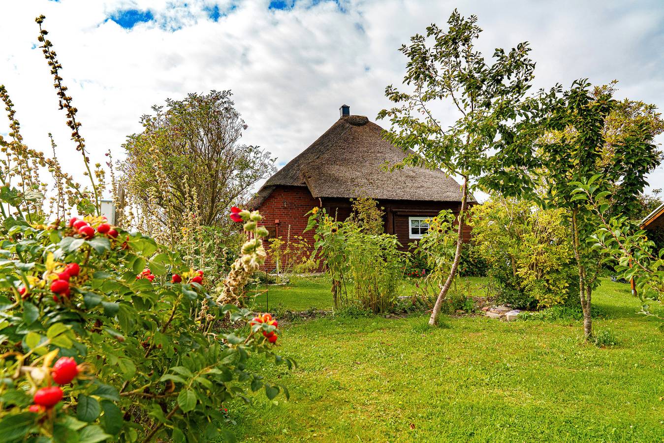 Ganze Wohnung, Ferienwohnung 'Nis Randers' mit privater Terrasse, privatem Garten und Wi-Fi in Pellworm, Nordfriesland