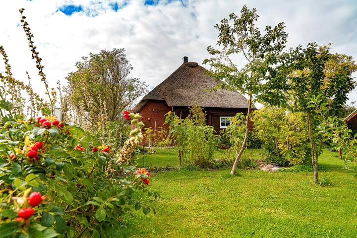 Ferienwohnung für 3 Personen, mit Garten - 1