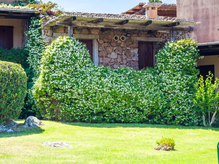 Entire apartment, Caletta 10 by Klodge – Sea view and tennis court in Porto Rotondo, Olbia