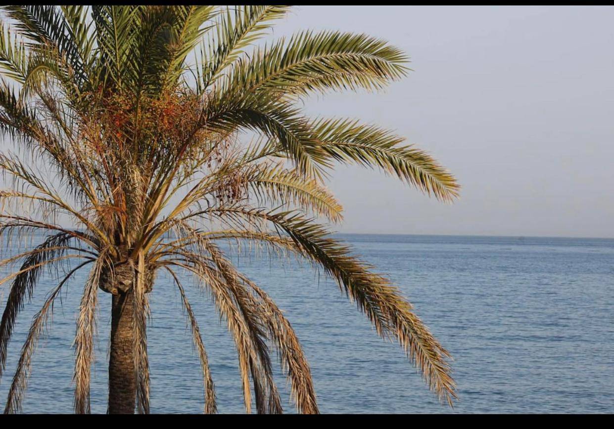 Two-Bedroom House in Fuengirola, Costa del Sol