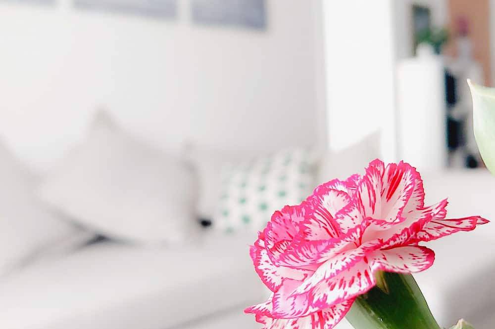 Entire apartment, Amelie accommodation with free Wi-Fi in Murcia, Murcia Inland