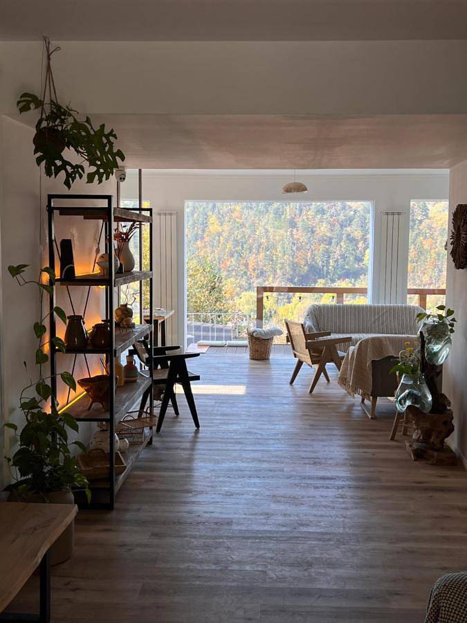 Maison d’hôte pour 2 personnes, avec jardin à Brașov