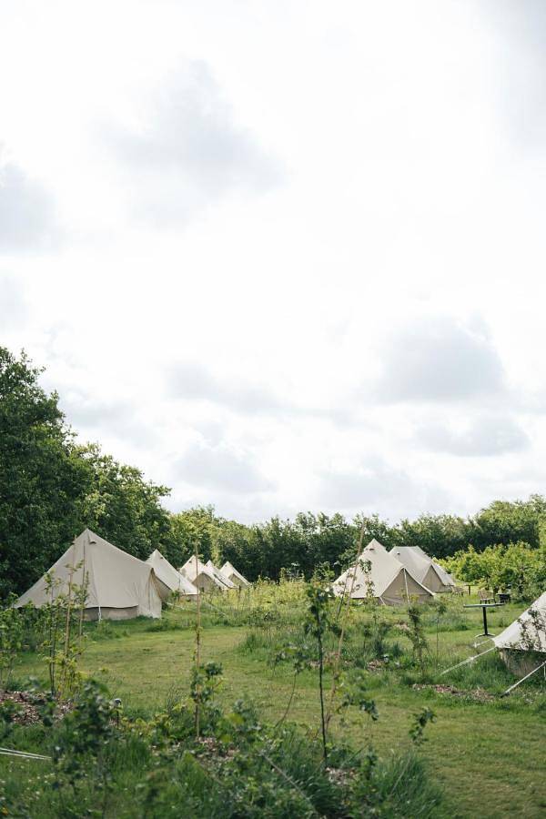 Zelt für 2 Personen, mit Terrasse und Garten sowie Sauna und Ausblick in De Waal - 4