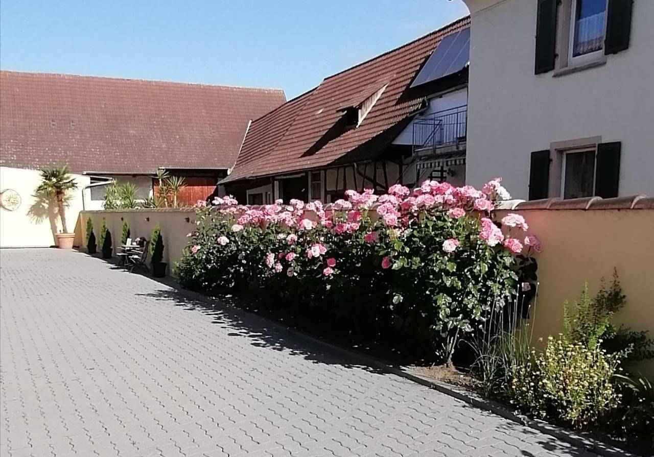 Appartement entier, Dreiländereck-Ferienwohnung in Eschbach in Eschbach, Forêt-Noire du Sud