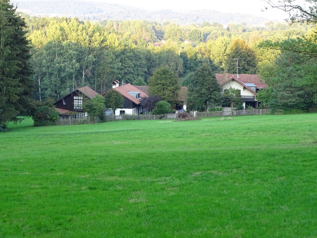 Vanessa in Schöllnach, Ostbayern