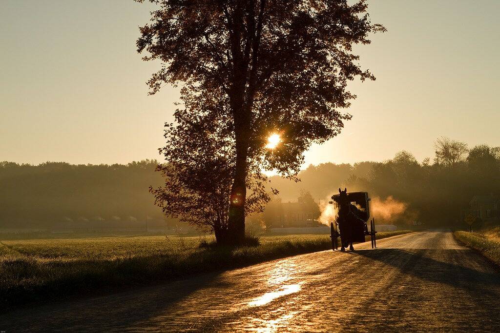 Cabin in Amish Country w Animals - 1 mile from Berlin, Ohio in Holmes County