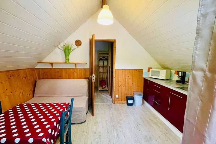 Gîte pour 4 personnes, avec piscine, animaux acceptés à Camon