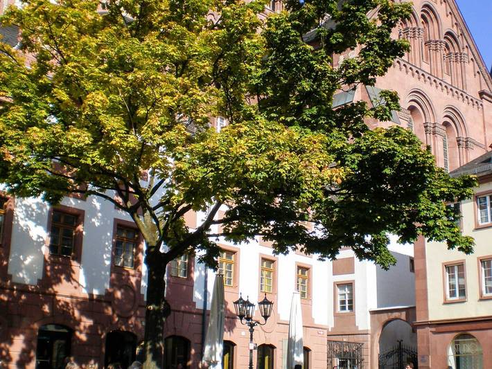 Ferienwohnung für 3 Personen, mit Balkon und Terrasse sowie Ausblick in Rheinhessen - 4