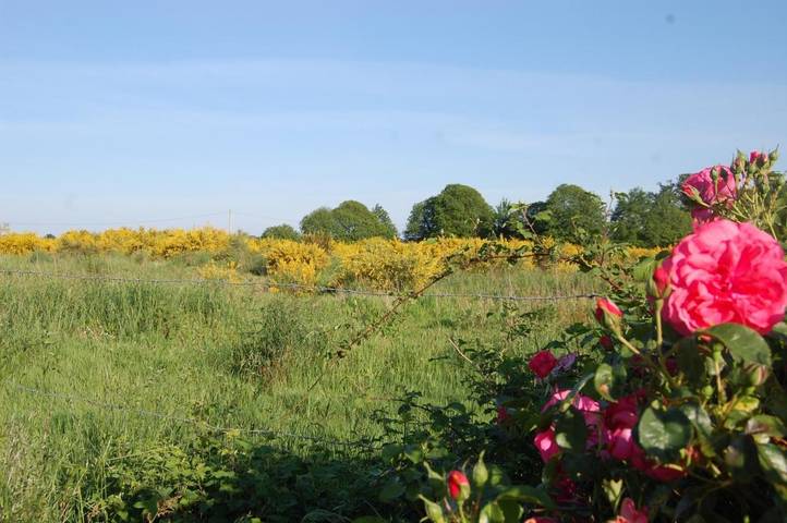 Location de vacances pour 2 personnes, avec vue et jardin, adapté aux familles dans Maen-Roch - 2