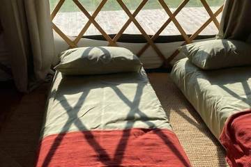 Glamping for 6 People in Fernhurst, West Sussex, Photo 3