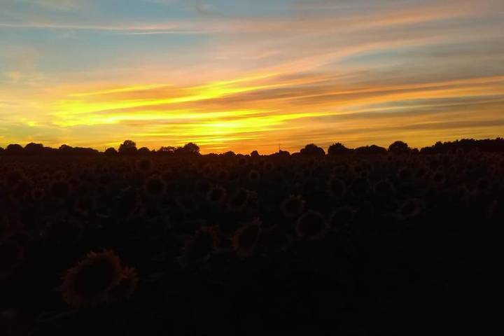 Location de vacances pour 5 personnes, avec jardin, animaux acceptés à Vaux - 3