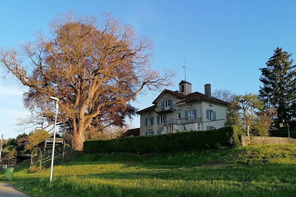 Entire apartment, Holiday apartment Bottighofen for 1 - 2 persons with 1 bedroom - Holiday apartment in Lake Constance (Switzerland)