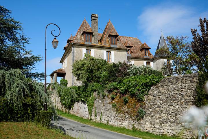 Gîte pour 10 personnes, avec piscine, animaux acceptés à Carsac-de-Gurson - 3
