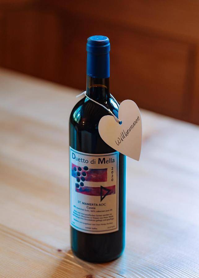 Gîte pour 6 personnes, avec terrasse et vue au Liechtenstein - 4