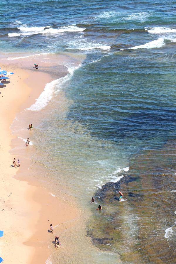 Aparthotel para 1 personas, Se admiten mascotas - 1