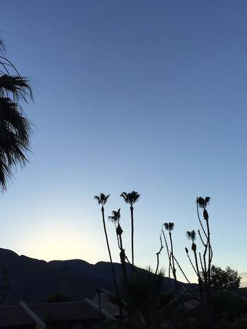 Villa pour 2 Personnes dans Palm Springs, Coachella Valley, Photo 4