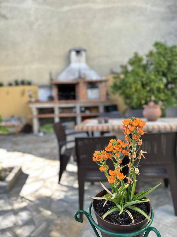 Gîte pour 2 personnes, avec vue et jardin, animaux acceptés à Mirandela - 3