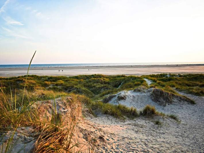 Ferienhaus für 6 Personen, mit Terrasse, kinderfreundlich auf Fanø - 3