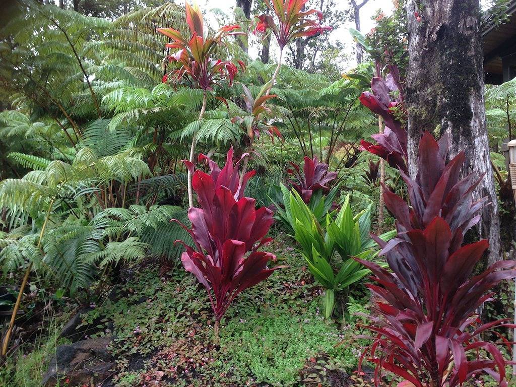 Volcanoes Nationalpark Geöffnet! Private 3-Acre Estate, 3 Luxus-Suiten, Hot Tub in Royal Hawaiian Estates, Volcano