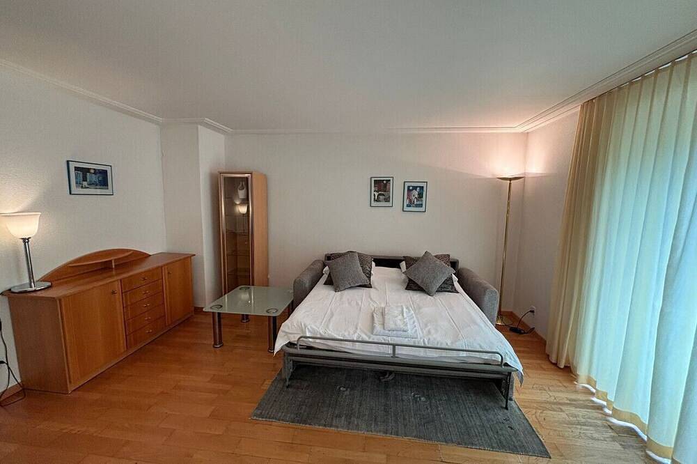 Appartamento intero, 1Bedroom apt near lake (Joy) in Zurigo, Distretto di Zurigo