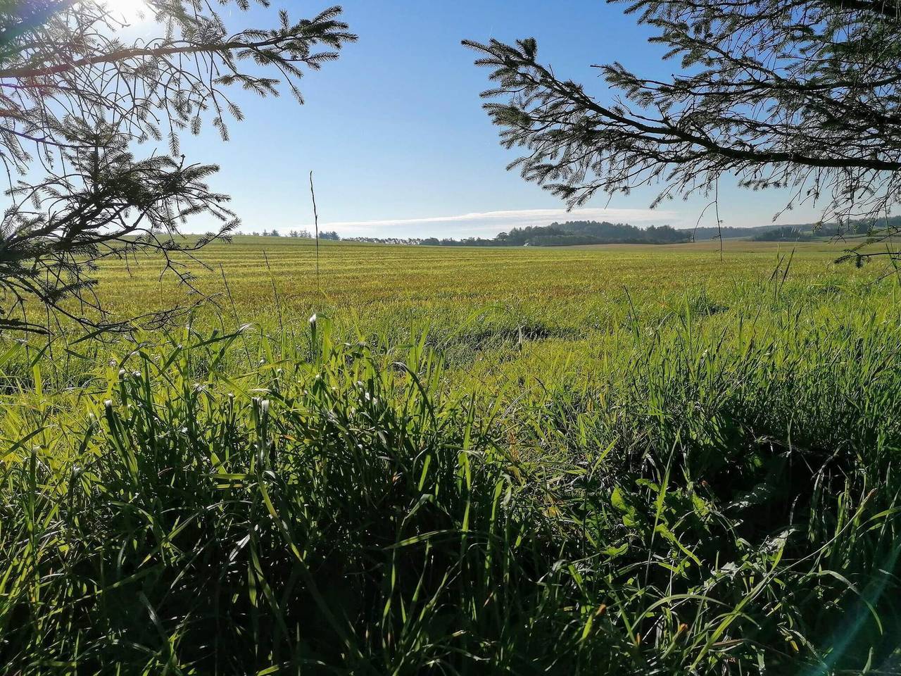 Hyggeligt tilflugtssted naer Bork -- By Traum Ferienwohnungen in Løkken, Hjørring Kommune