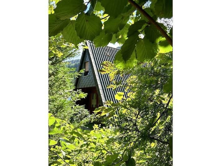 Ferienhaus für 5 Personen, mit Terrasse und Garten in Lautenthal - 3