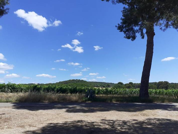 Location de vacances pour 5 personnes, avec terrasse à Quarante - 2