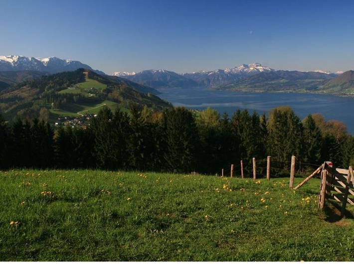 Ferienwohnung für 4 Personen, mit Balkon und Garten sowie Seeblick und Ausblick in Weyregg am Attersee - 3