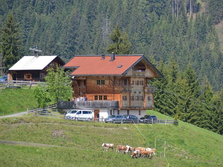 Ferienhaus für 22 Personen, mit Garten, mit Haustier in Wildschönau - 3