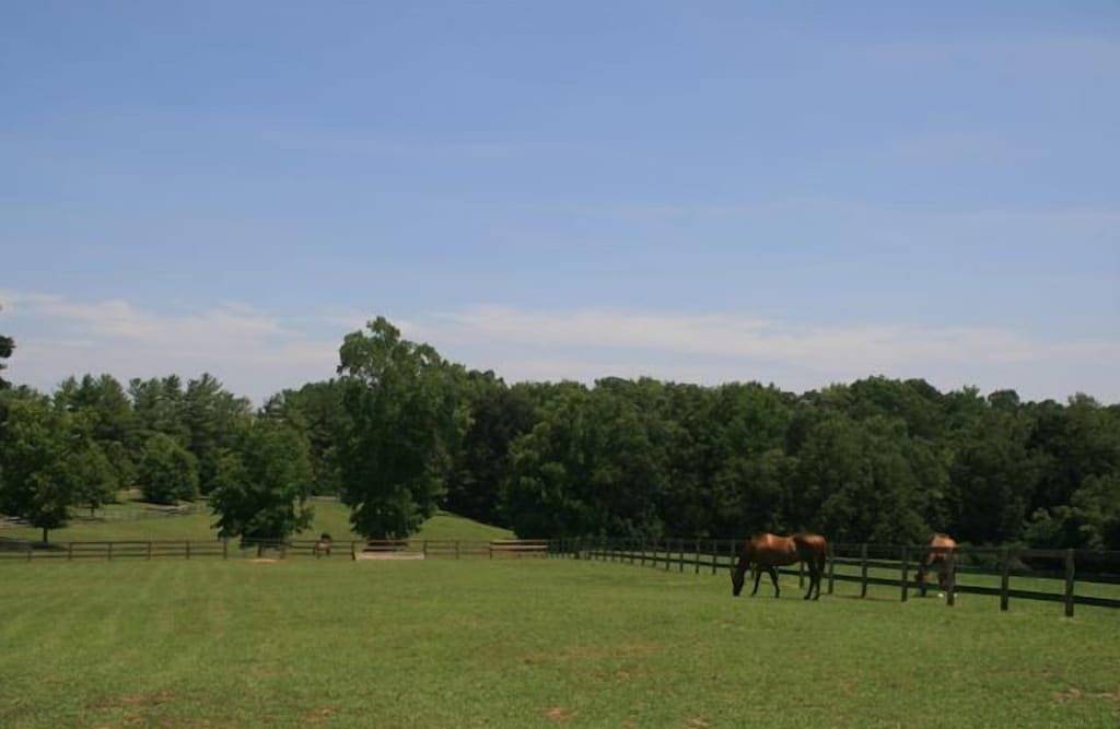 Aberfoyle - Private Country Retreat in Reit- und Golfumgebung in Polk County NC