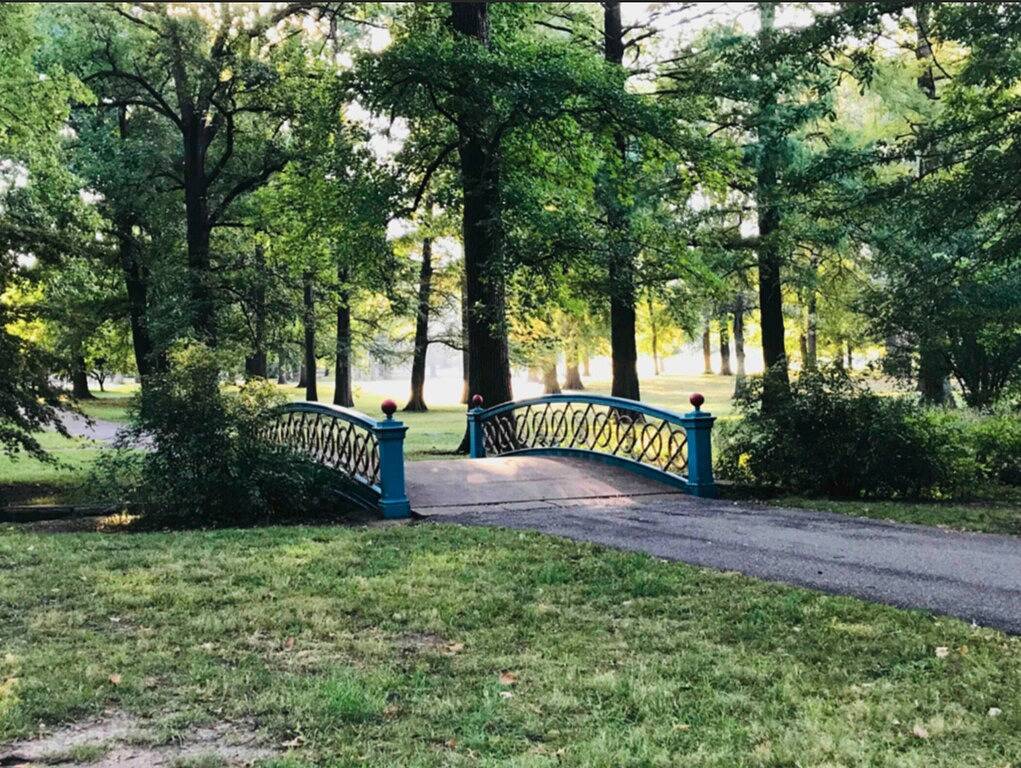Ganze Wohnung, Familienfreundlich, sicher und künstlerisch in der Nähe von Botanical Gardens w / Patio & Parkplatz in St. Louis, Missouri