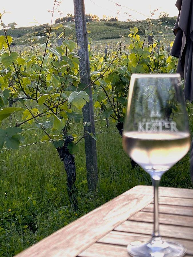 Ferienhaus für 2 Personen, mit Ausblick und Terrasse, mit Haustier in Wiesbaden - 4