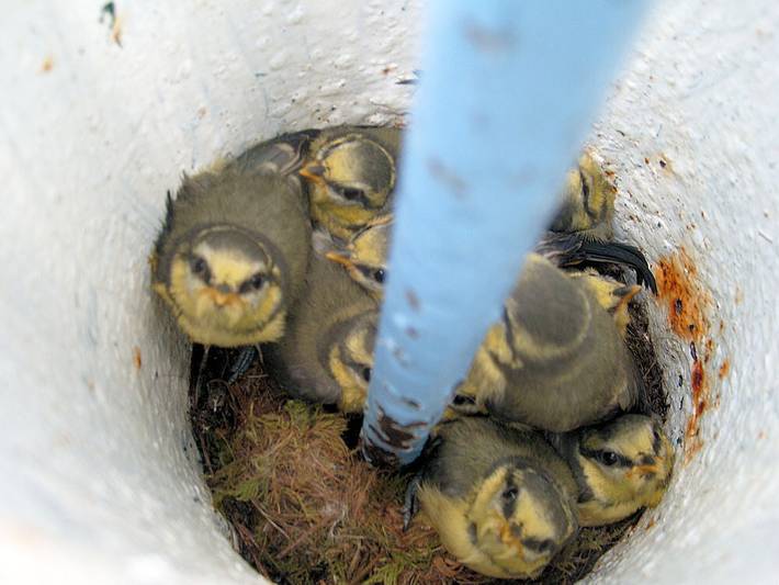 Chambre d’hôte pour 3 personnes, avec jardin dans les Pays de la Loire - 4