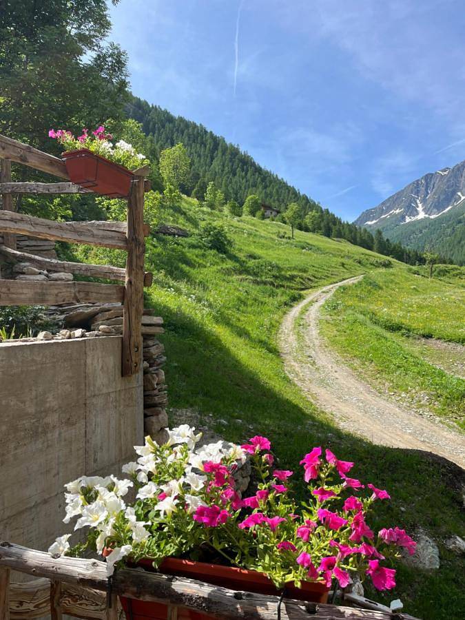 Gîte pour 2 personnes, avec balcon ainsi que jardin et vue à Marmora - 3