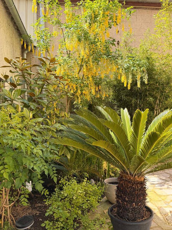 Appartement entier, Villa des dames 40m2,jardin fleuri in Sainte-Savine, Aube