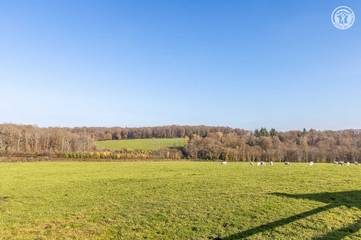 Gîte pour 12 Personnes dans La Motte-Saint-Jean, Région de Charolles, Photo 1