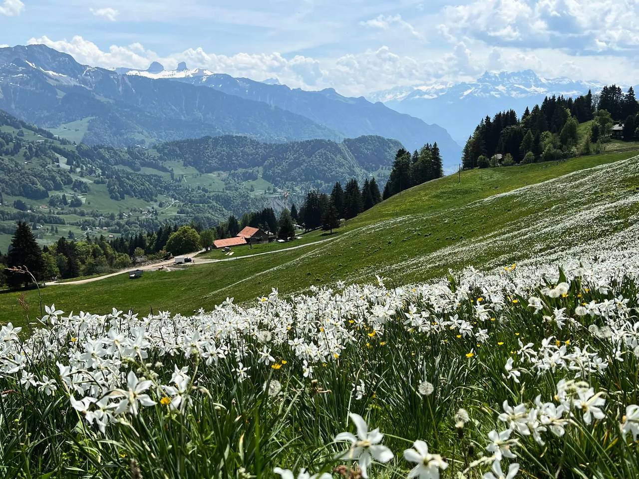 Entire apartment, 4 Pièces 6 Personnes in Chailly-Montreux, Montreux