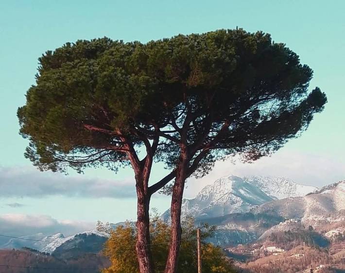 Gîte pour 2 personnes, avec vue ainsi que jardin et terrasse à Barga - 3