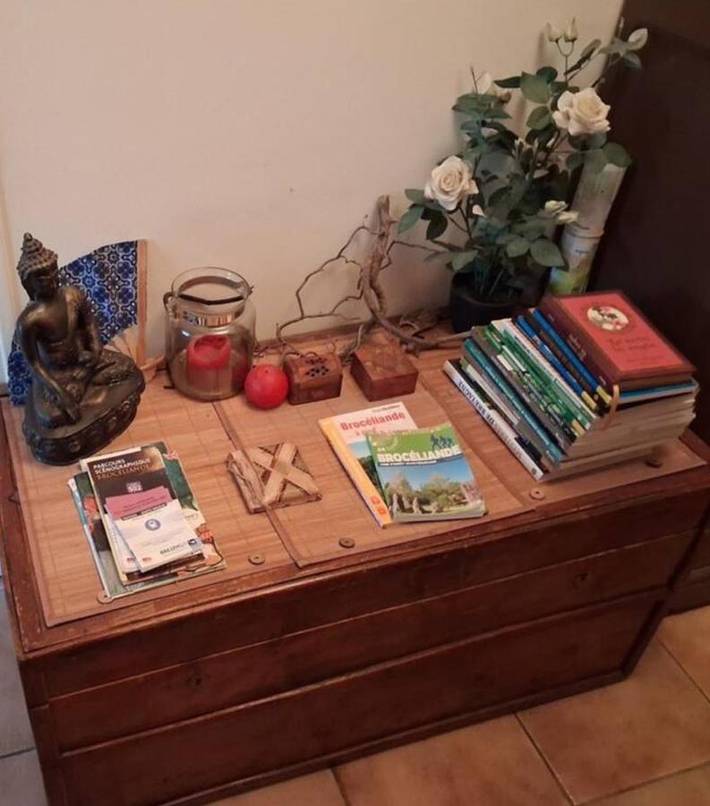 Location de vacances pour 2 personnes, avec jardin et terrasse à Paimpont - 3