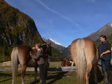 Ferienwohnung für 4 Personen in Heiligenblut, Bezirk Spittal an der Drau, Bild 4