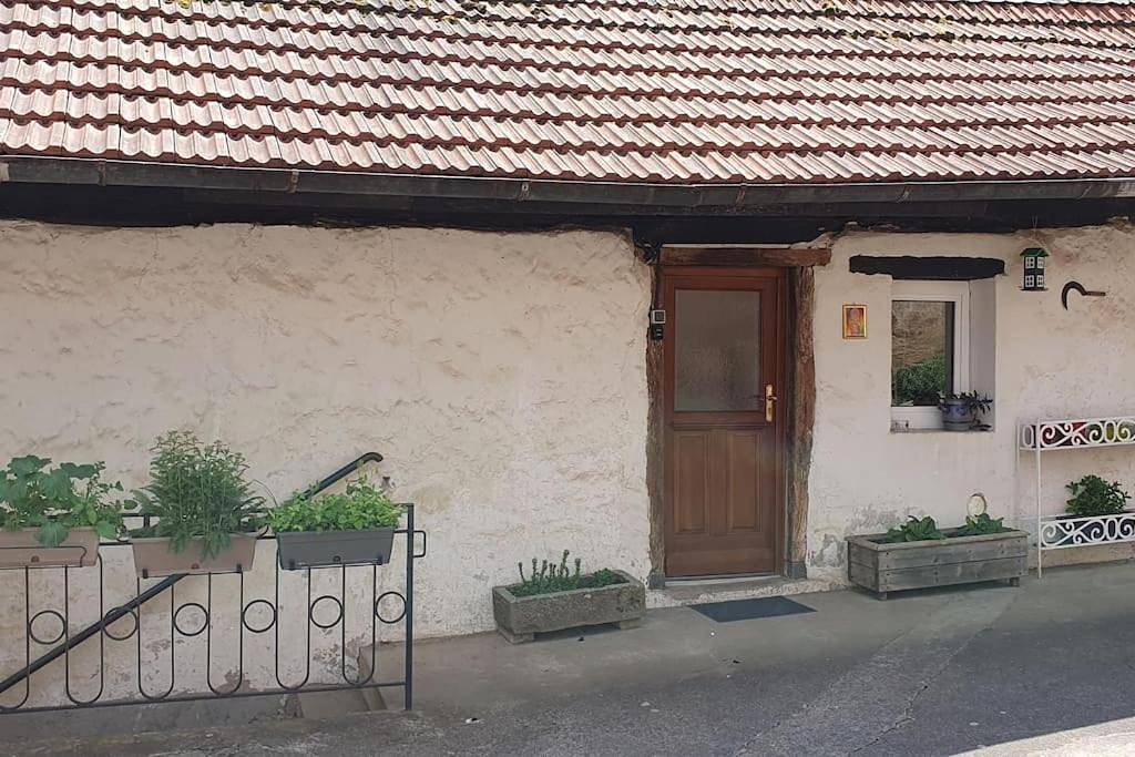 Le Berger du Salzbach in Romanswiller, Nord de l'Alsace