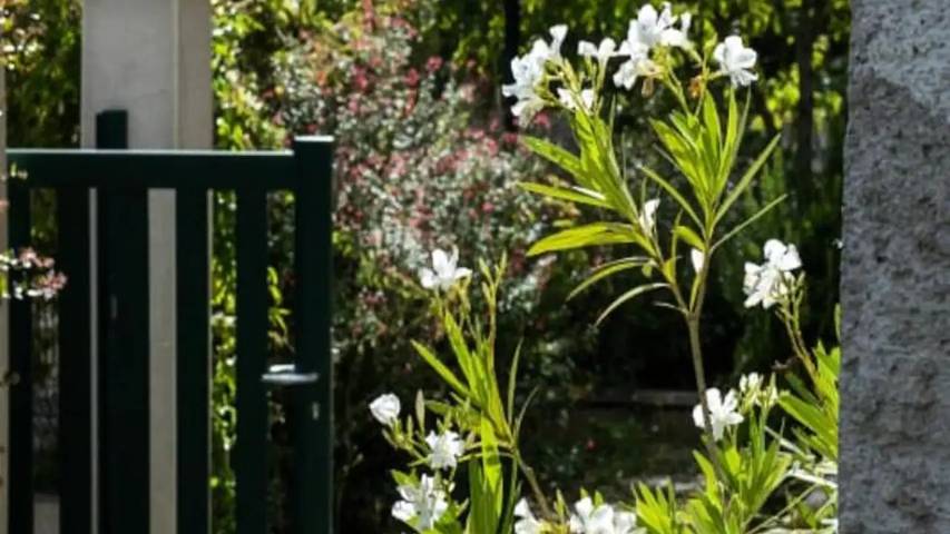 Gîte pour 9 personnes, avec Jardin à Tours - 4