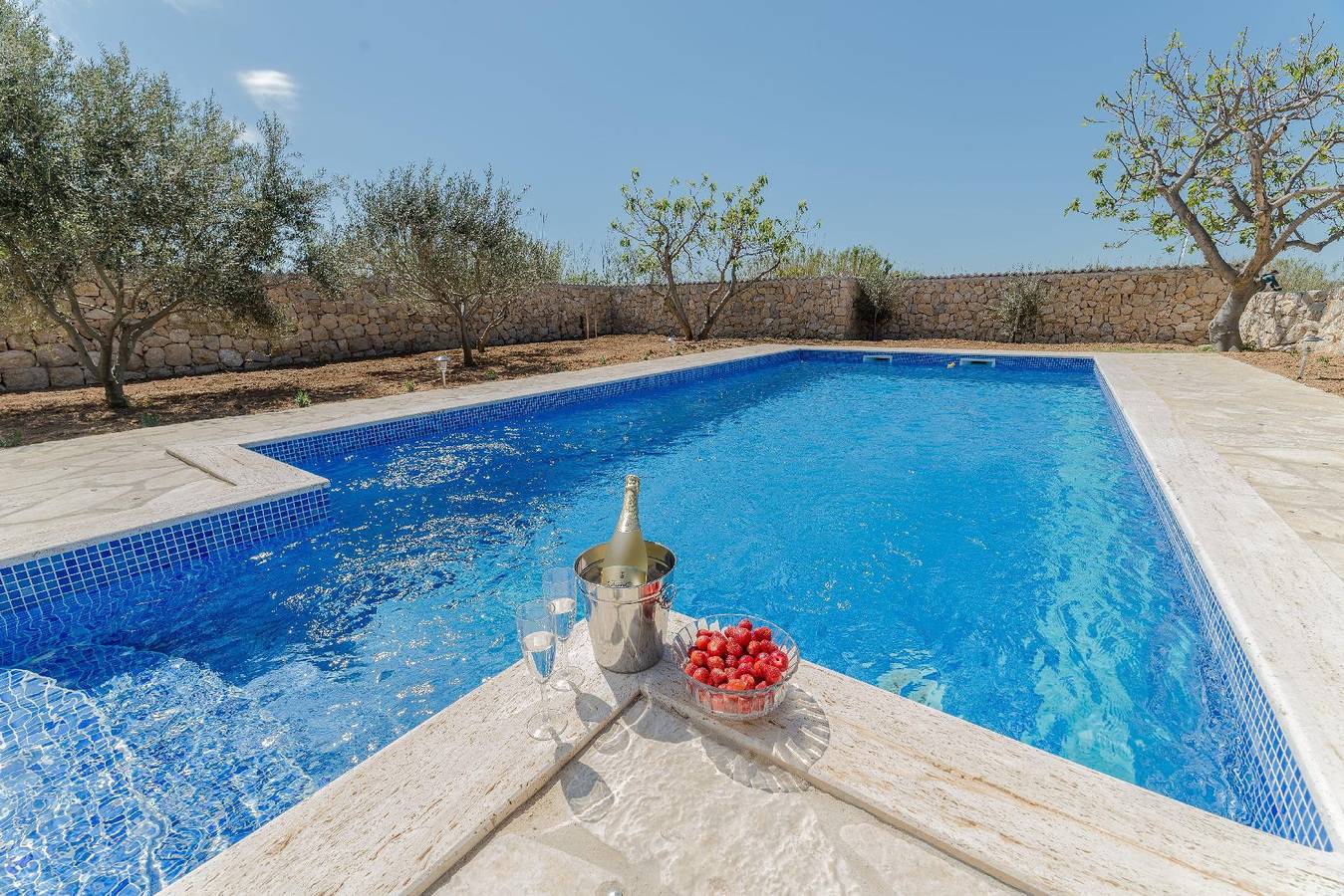 Classic Mediterranean stone villa with pool, close to the beach, surrounded by olive trees and vineyards. in Privlaka, Zadar