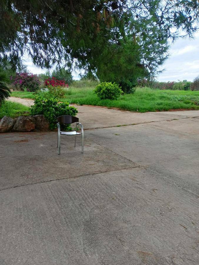 Casa rural para 14 personas, con Balcón y Terraza además de Jardín y Vistas en Parc Natural de l'Albufera de València - 4